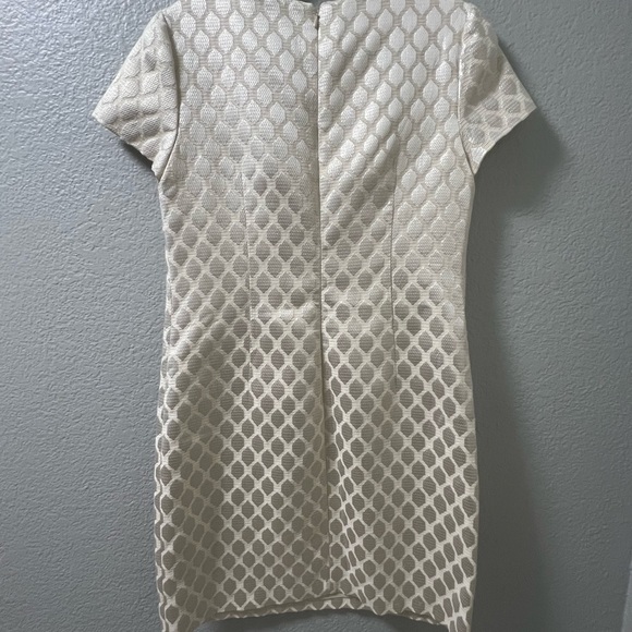 Maggy London Cream Mini Dress with Embellished Neckline - Picture 5 of 5